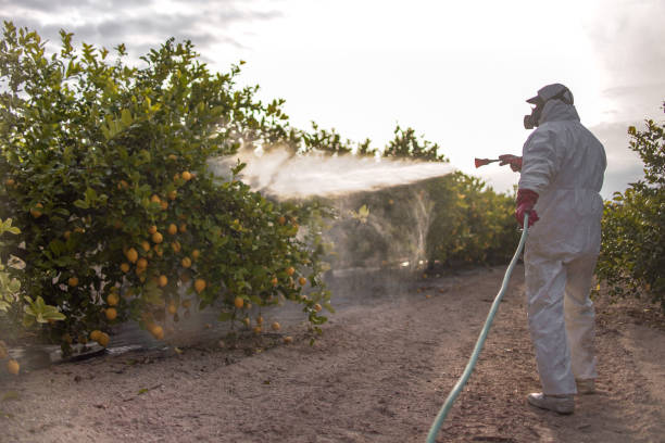 Professional Pest Control in Reliez Valley, CA