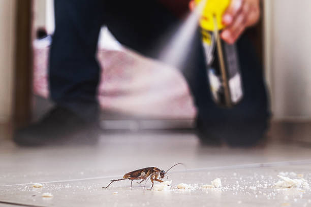 Best Commercial Pest Control Services  in Reliez Valley, CA